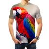 Fashion Colour Painting Parrot Graphic T Shirts Summer Men Casual Trend 3D Printed Short Sleeve Hip Hop Harajuku Streetwear Tees