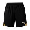 Puma Тренировочные шорты Teamgoal Черные 705752 28