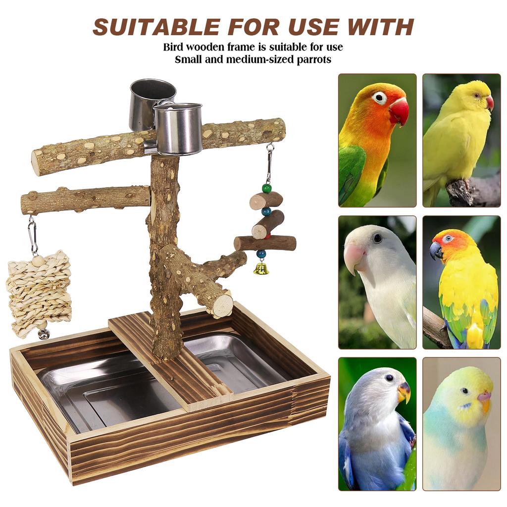 Parrot Stand Rack Solid Wood Swing Prickly Ash Feeder Water Game Platform