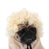 Adorable Black Color Pet Wig With Fun Afro Style For Halloween Parties And Festivals