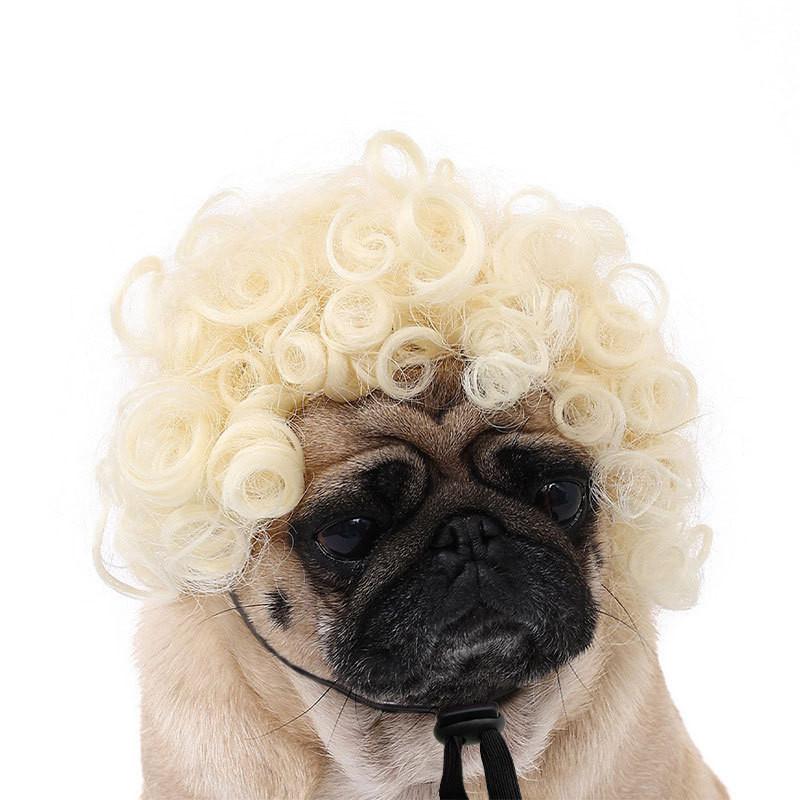 Adorable Black Color Pet Wig With Fun Afro Style For Halloween Parties And Festivals