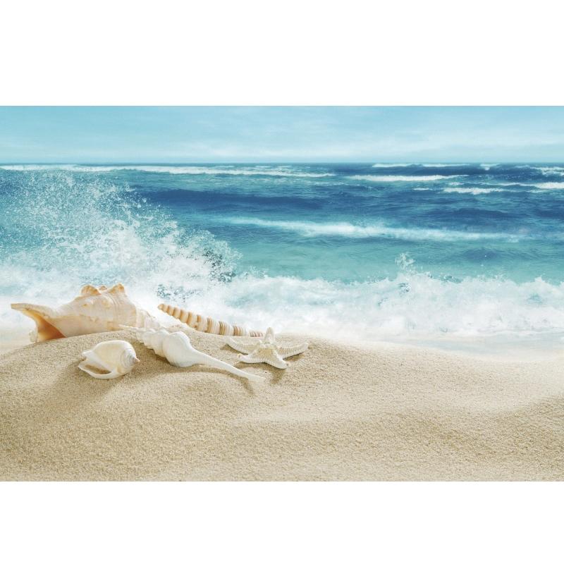 Tropical Beach Backdrop Decoration Seashell Starfish Summer Vacation For Pool Party Celebration Backgrounds For Photographs