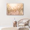 Canvas print, Cereal in the sun