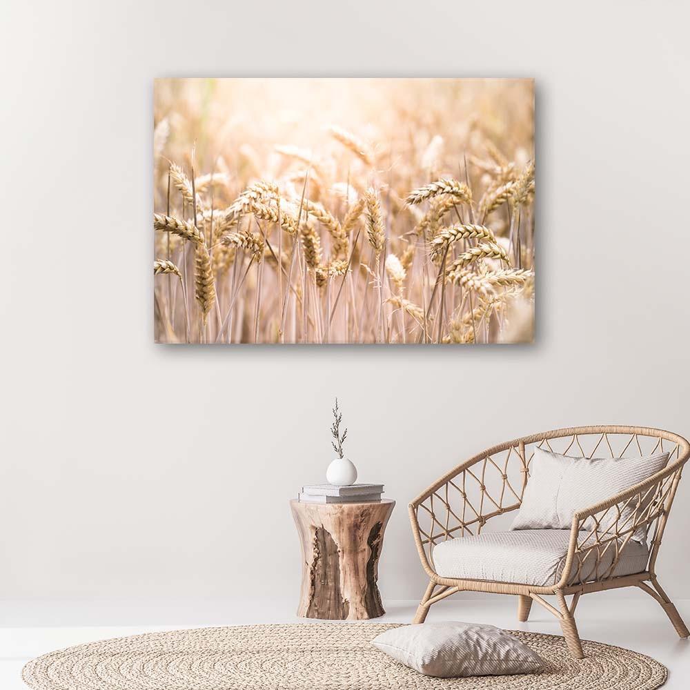 Canvas print, Cereal in the sun