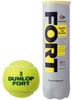 DUNLOP Hard Tennis Ball FORT Pressure Rized Tennis Ball 4 Balls X 30 Bottles DFCPEYLPT4CS120 Yellow (120 Balls)