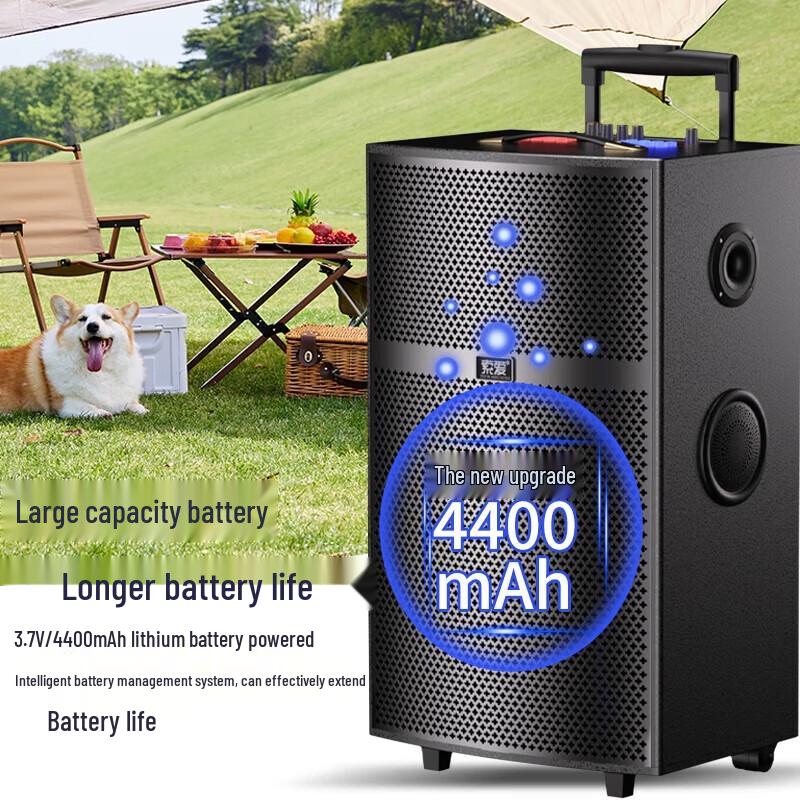 Soaiy SA-X64 12-дюймовая мощная KTV активная акустическая система для улицы