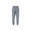 Nike Мужские вязаные спортивные штаны серые с умеренной манжетой DQ4847-063