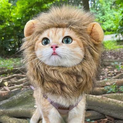 Милый парик для кошек, собак, львов, шляпа для маленьких собак, кошек, вечеринка на Хэллоуин, забавный костюм для косплея, головной убор, одежда для домашних животных, аксессуары