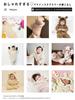 Комбинезон кигуруми Sweet Mommy Baby Bear Rabbit с капюшоном и защитой от холода, боа Marshmallow, подкладка из органического хлопка, пепельно-розовый 80 [Sweet Mommy]