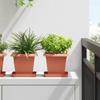 Square Flower Pot 24 pcs Terracotta Red 16 x 16 x 14 cm