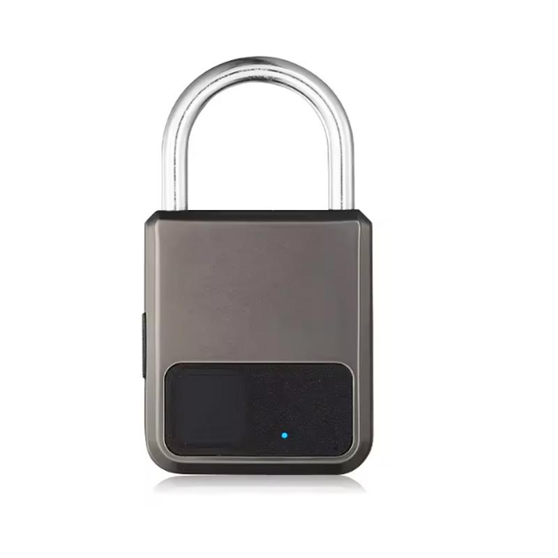 Портативный умный замок-навес с отпечатком пальца, противоугонный, с USB-зарядкой, водонепроницаемый, без ключа, мини-электронный замок для велосипеда, шкафчика в спортзале, багажа
