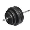 VidaXL Curl Dumbbell with Weight Plates Plastic Coated Gym Sport 90372
