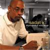 12-дюймовая пластинка SADAT X - Experience & Education FEM015 Female Fun Reco 2006 US Рэп и хип-хоп/R&B Б/у