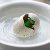 Вылупляющееся яйцо динозавра, Игрушка для выращивания в воде для мальчиков и девочек, Расширяющееся яйцо динозавра в воде, Игрушка для детей