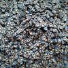 1KG DIY Craft Slime Supplies Filler Polymer Sprinkles Slices Animal Bee Polymer Clay  Sprinkles