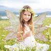 Fairy Wings Set Lightweight Fairy Costume with Floral Garland Fairy Hair Tinsel Wand Elf Ears Butterfly Wings Kit