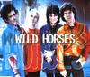 CD ROLLING STONES - Wild Horses VSCDT1578 Virgin 1996 US Рок Б/У