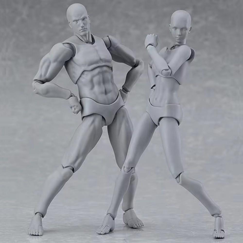 Movable Joints Sketch Drawing Model Male Female Action Figure Model Model Ornaments
