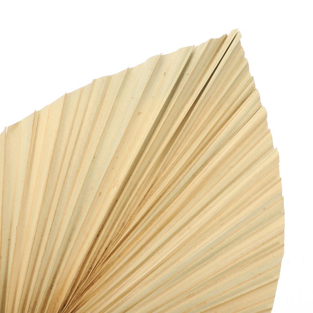 3 шт. Настенное украшение Свадебные украшения Лист Окно Пальма Сушеный Веер Сухие листья Декоративное моделирование Гостиничные принадлежности