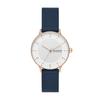 Часы Skagen RIIS SKW3090 Женские Синие