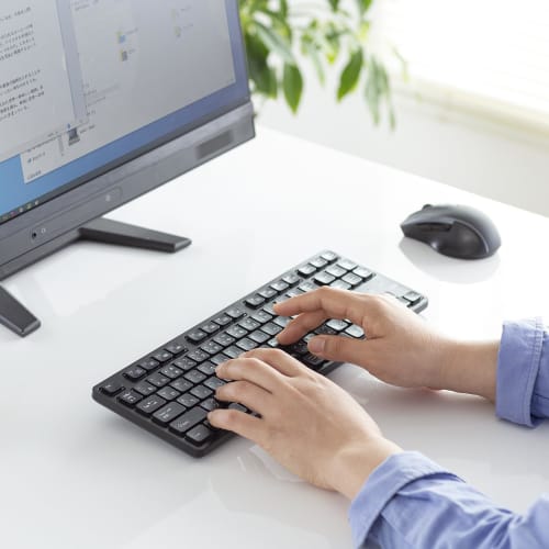 SANWA SUPPLY Wireless Quiet Keyboard (2.4GHz Wireless/No Numeric Keypad) SKB-WL38BK