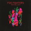 12inch Record FOO FIGHTERS - Wasting Light (-180g) 88697844931 ROSWELL 2011 Europe Rock