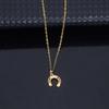 Elegant Horseshoe Pendant Necklace for Women - Stainless Steel Clavicle Chain