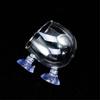 Aquarium Plant Cup Glass Plant Holder for Fishtanks with Suction Cups for Hydroponic Plants and Fishtanks Landscaping