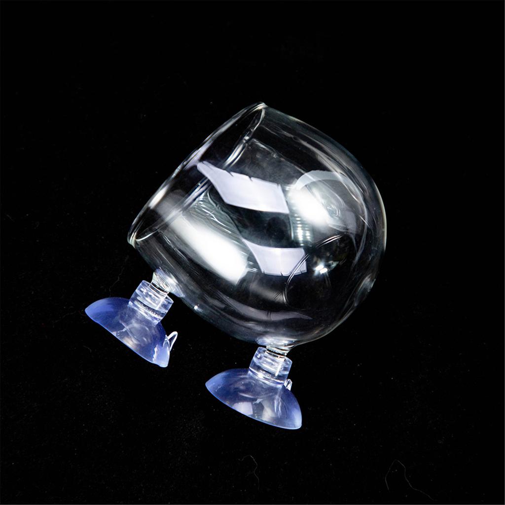 Aquarium Plant Cup Glass Plant Holder for Fishtanks with Suction Cups for Hydroponic Plants and Fishtanks Landscaping
