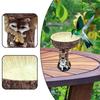 Кормушка из смолы для сада, ванна для птиц, миска, статуэтка енота, ванна для птиц, пьющее животное, скульптура