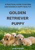 Книга A Practical Guide To Buying and Raising A Happy Healthy Golden Retriever Puppy