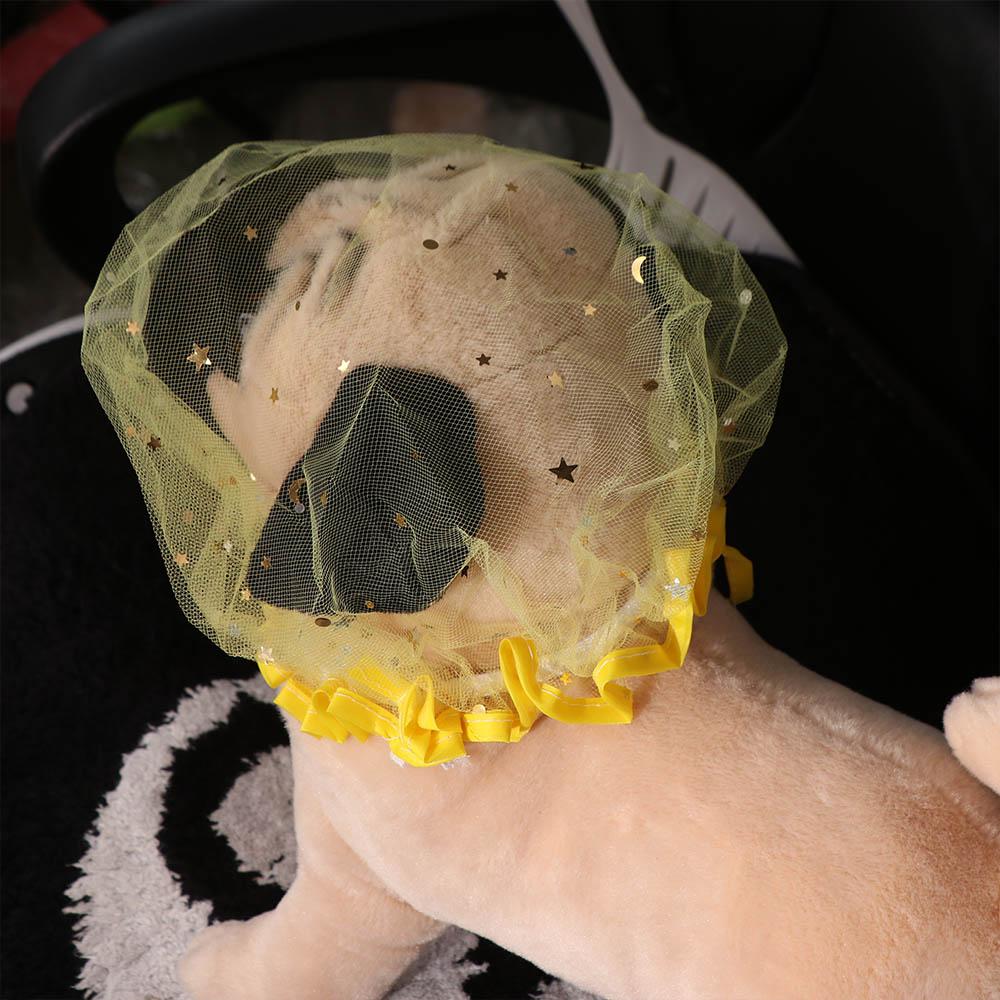 Anti-accidental Dog Anti-Eating Headgear Dog Protective Veil Cat Puppy Walking