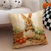 Classic Cute British PPeter Rabbit Cushion Cover Throw Pillow Cover Hidden Button Durable Polyester Chair Cushion