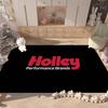 H-Holleys Performance Car Door Mat Nordic Style Bedroom Living Room Doormat Home Balcony Anti-Slip Alfombra