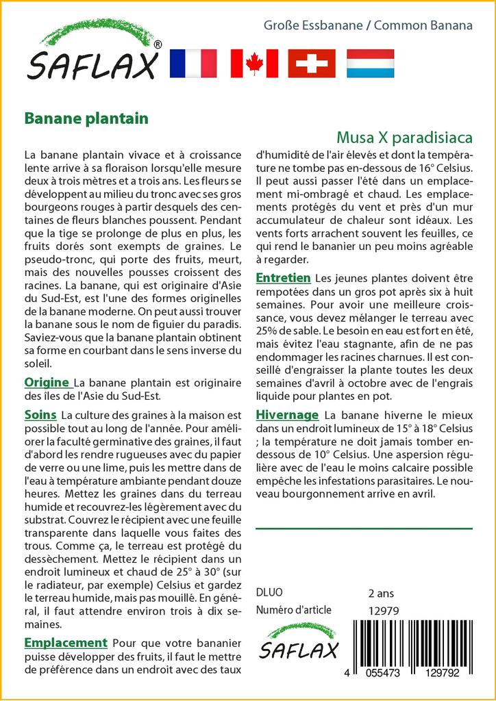 SAFLAX Банан обыкновенный - 10 семян - Musa X paradisiaca