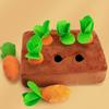 Plush Carrot  Dog Toys 6/8 Hole Interactive Training Toys  Mental Stimulation