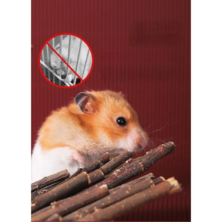500 г Натуральная ветка яблони Игрушка для домашних попугаев Кроликов Морских свинок Хомяков Деревянная птица Попугаи Хомяки Игрушки для грызения