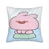 Asamimichan and Anemimi Printed Pillowcase Cushion Cover  Throw Pillow Cover Warm Living Room Decorations Square Multi-Size