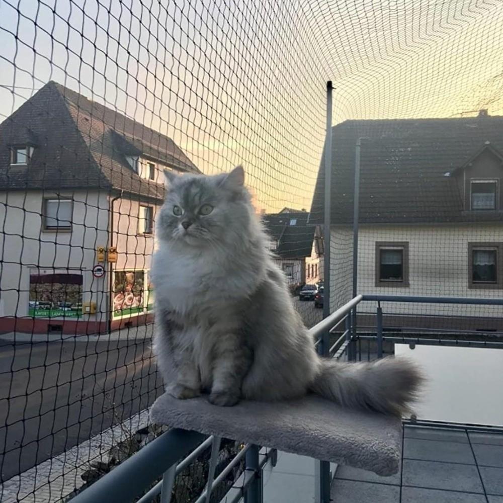 Durable Cat Window Sill Fence Plastic Pet Anti-Fall Mesh Pet Balcony Protective Net  Window