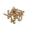 Musiclily Pro Synchro Tremolo Bridge Fixing Screws Gold for ST Electric Guitar (20 Pieces)