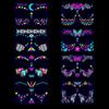 Флуоресцентные наклейки для лица Новые светящиеся татуировки Украшения Наклейки Маскарад
