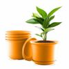 10-дюймовые пластиковые круглые цветочные горшки с поддоном для домашних растений, террасы, сада и т.д. | Упаковка из 05 штук | Оранжевый | для домашних растений для садоводства в помещении и на открытом воздухе