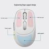 HP S1500 Pro Wireless Ergonomic Silent Mouse