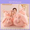 Cartoon Pig Pink Plush Toy Simulation Animal Doll  Birthday Gift Home Decoration