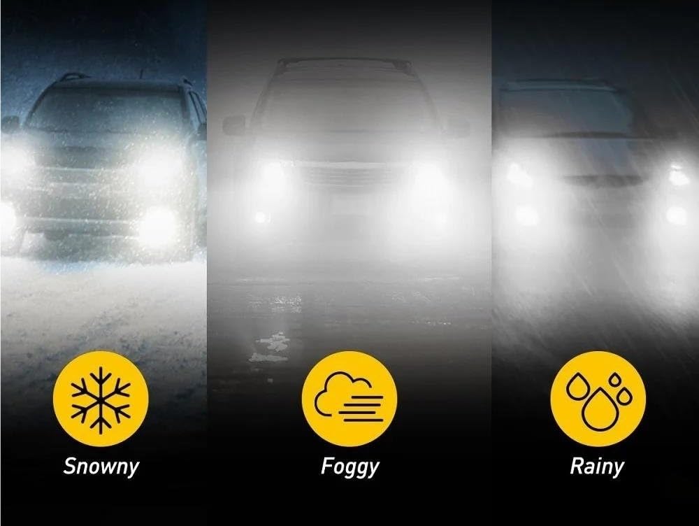 Fit for Fog H8 H11 H16JP H10 Car Lamp Fog Lamp Canbus Errorless 6500K