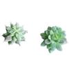 11Pcs Realistic Potted Plant Artificial Potted  Plant Arrangement For Tabletop Shelf Home Office Desk Decoration