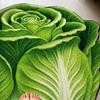 Yousheng Chinese Cabbage Floor Mat Non-Slip Absorbent Bathroom Rug 3D Visual Effect Cabbage Floor Rug for Entrance Living Room Kitchen