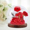 Cloche Glass Dome Ball Shape Terrarium Wedding Valentines Day Gifts Crafts Display Case