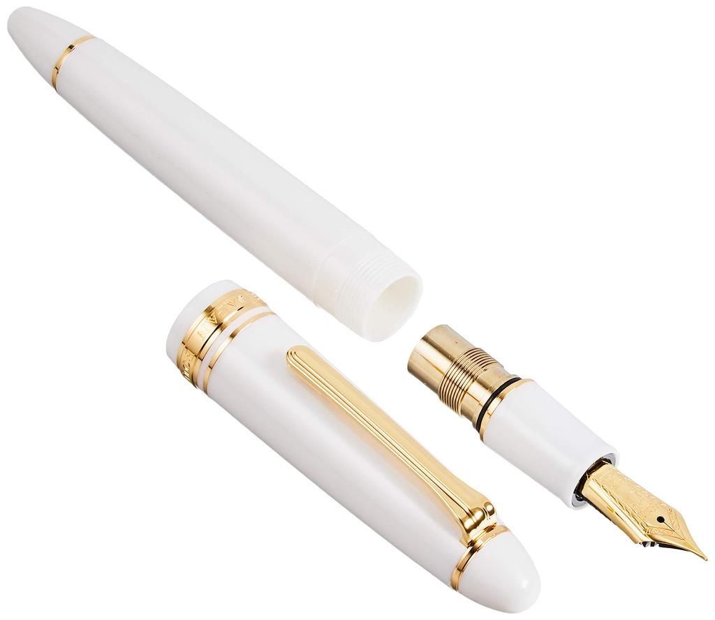 Sailor fountain pen Profit 21 Белый Extra Fine 11-2021-110