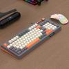 98 Key Layout RAIKU T98 Keyboard RGB Lighting Wired Keyboard New Keyboard Mouse Set  Game